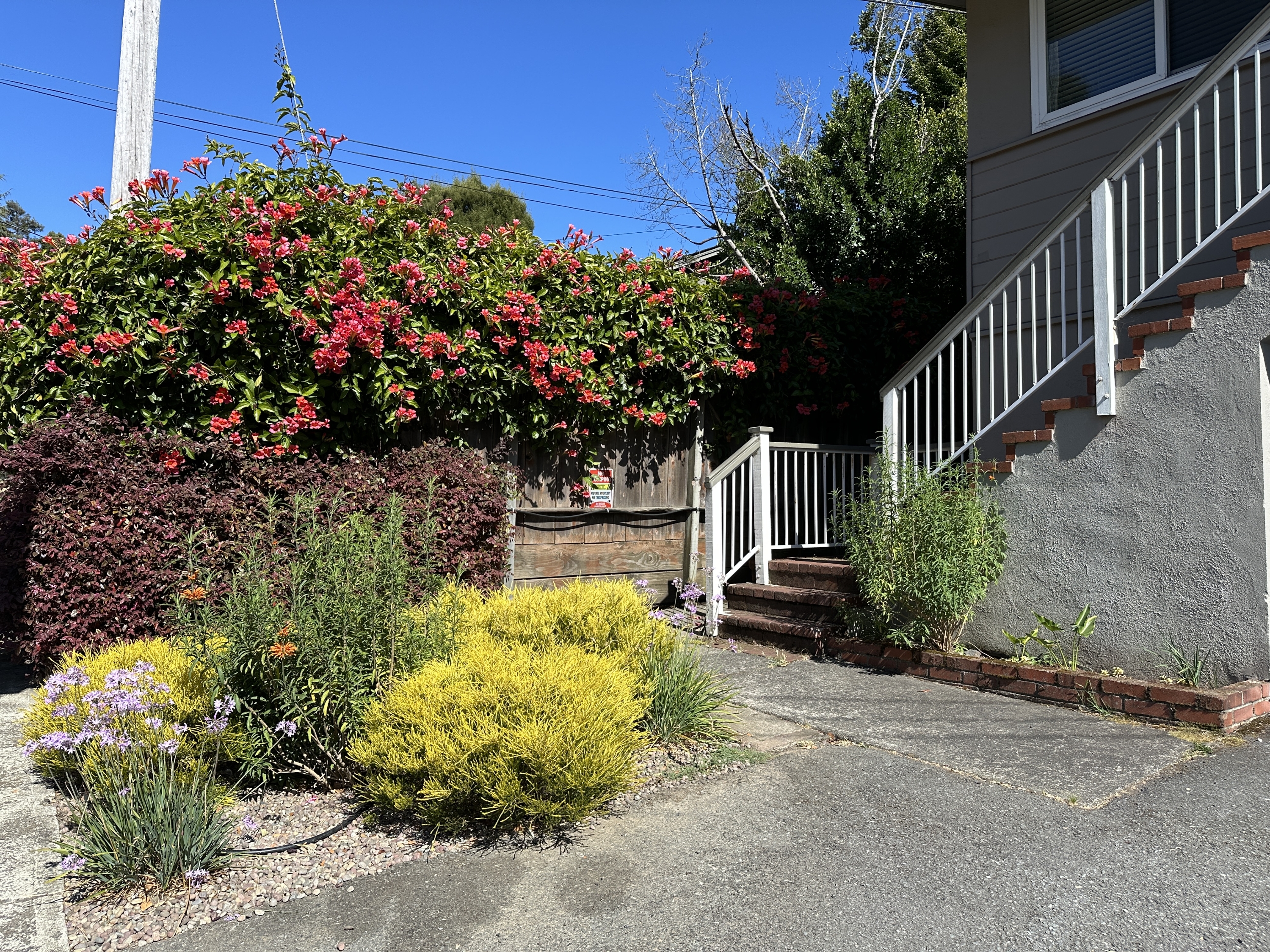 100 Belvedere Drive - 5